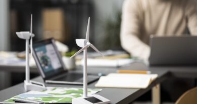 Conto Termico 3.0: Regole Applicative GSE